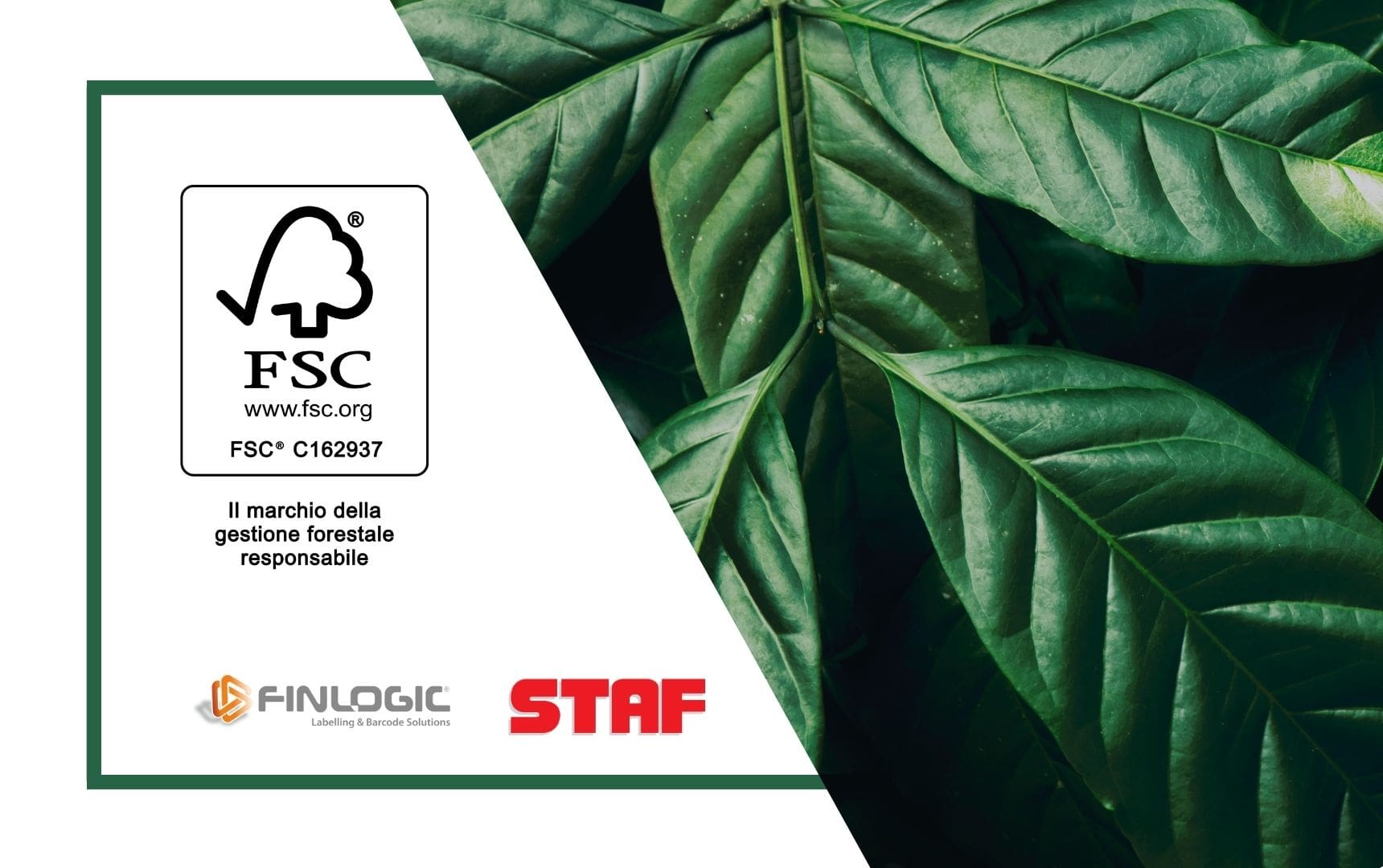 FINLOGIC: LA CONTROLLATA STAF RICEVE LA CERTIFICAZIONE FSC®