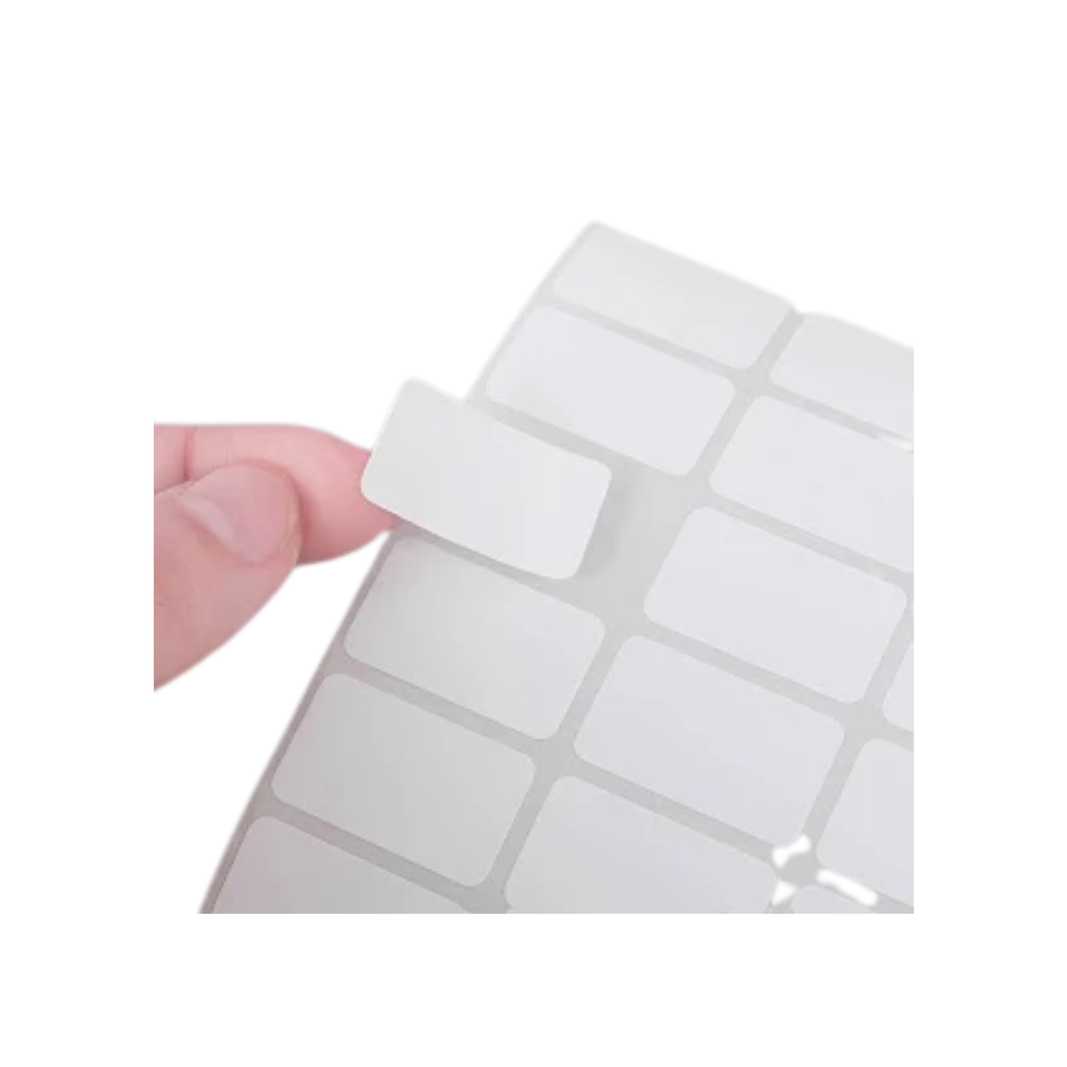 Etichette in fogli - immagine 2
